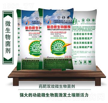 �ͺ�΢���������2�|��-��������