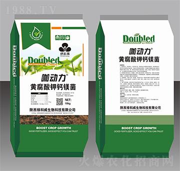 咖動力黃腐酸鉀鈣鎂菌-綠科威