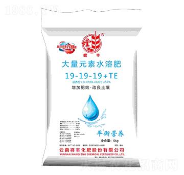 大量元素水溶肥料19-19-19+TE-祥豐