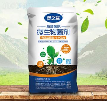 海藻微生物菌肥-澳之藍(lán)-金秋實(shí)農(nóng)資
