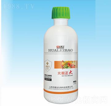 光靚正大-花蕾寶生物