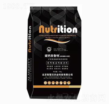 ����ֲ��ˮ�ܷ�-̼�}������-�ǻ���