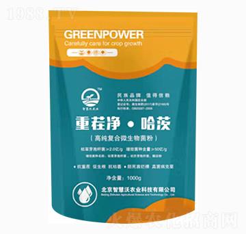 �ز������-�ǻ���