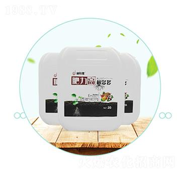 �����ߡ������-��������