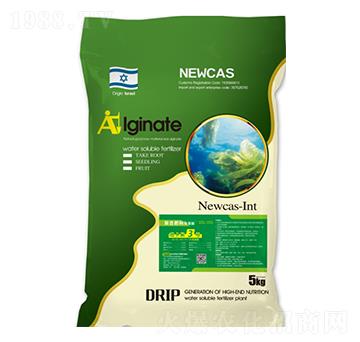 �������(f��)�Ϸ���-�~����