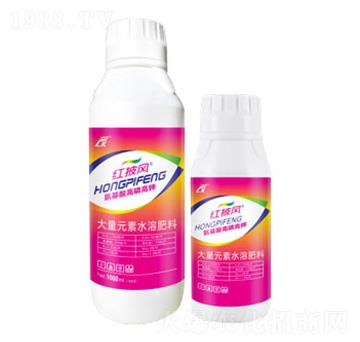 氨基酸高磷高鉀水溶肥-紅披風-連象生物