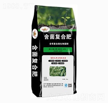 �����ͺϷ�-ʢ���P��