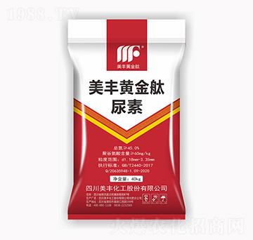 ���S�S���v����-���S����