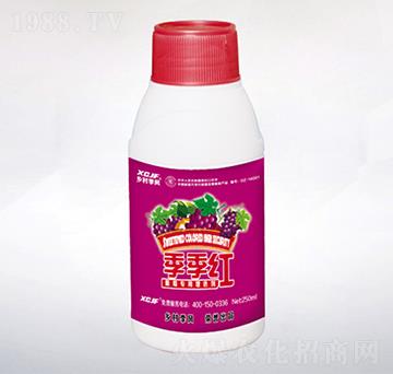 ���ь�����ɫ��-�����t-�l(xi��ng)�弾�L(f��ng)