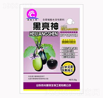 ���ӌ����~���-������-��������