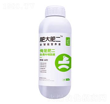 全智能營養(yǎng)液-肥大肥二-鑫天蘭農(nóng)業(yè)