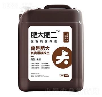6kg全智能營養(yǎng)液-肥大肥二-鑫天蘭農(nóng)業(yè)
