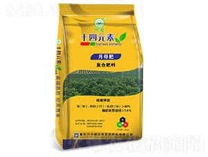 ʮ��Ԫ�؏ͺϷ���15-11-14����ĸ�ʣ�-�fֲ