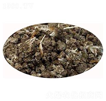 �������͸��u�S-���r(n��ng)�ʘI(y��)