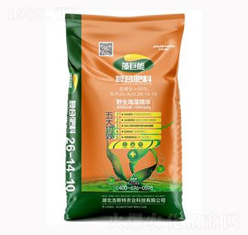 ����܏�(f��)�Ϸ���26-14-10-����