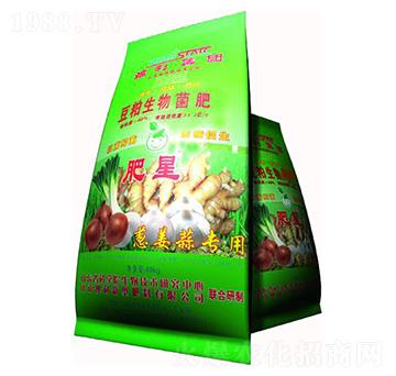 �[���⌣���������-����