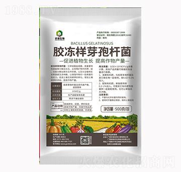 膠凍樣芽孢桿菌-農(nóng)保生物