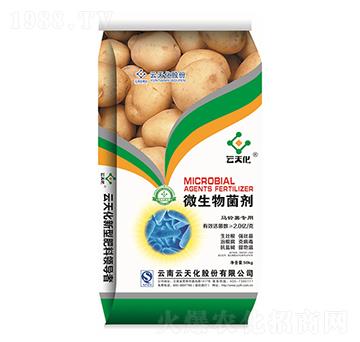 馬鈴薯專用微生物菌劑-世紀(jì)云天