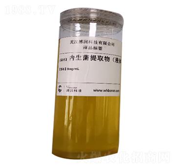 ֲ���(n��i)������ȡ�Һ�w��-����(r��n)�Ƽ�