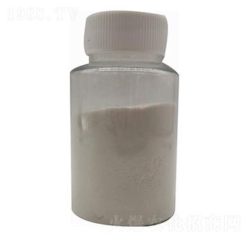 ���������-����(r��n)�Ƽ�