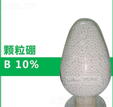 10%�w����-����(r��n)�Ƽ�