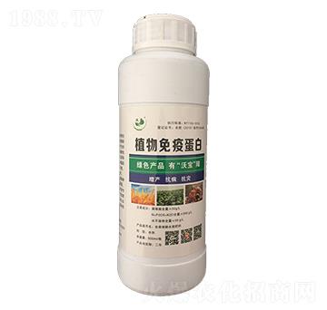 Һ�w��ֲ�������T����-�֌�����
