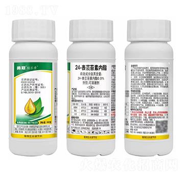 24-���|̦�؃�(n��i)������Һ��-ֲ��(l��)��-�¹چ̵�