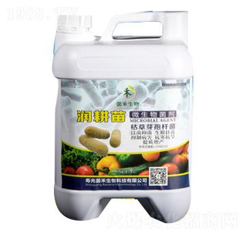 ��(r��n)����ݲ�ѿ�ߗU��-��������