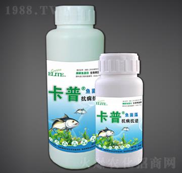 抗病抗逆型酶解魚(yú)蛋白-綠金高新