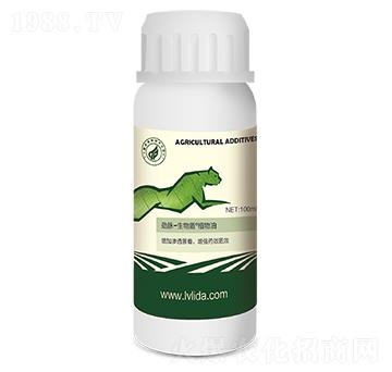 ����ܡ�ֲ����-���}