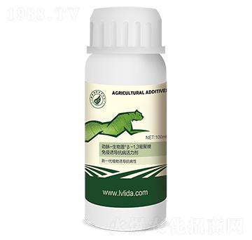 ����ܦ�-1,3�Ͼ���-���}