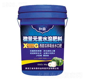 西甜瓜移栽坐水口肥-禾森農(nóng)業(yè)