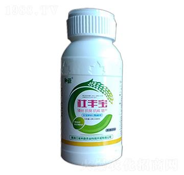 杜豐寶-禾森農(nóng)業(yè)