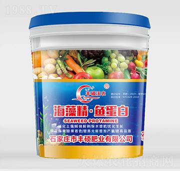 ���徫���~����-�S�T���r