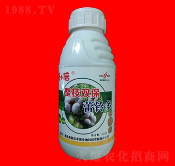 整枝雙保蕾鈴多-倍加倍-黑馬肥業(yè)