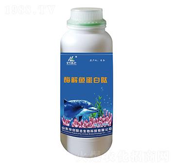 ø���~�����ģ�1000g��-�A��(chu��ng)(li��n)��