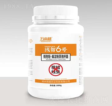 ���Y(ji��)���x����-����6̖(h��o)-��ķ������