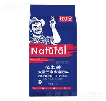 大量元素水溶肥20-20-20+TE-億之?huà)?蒙特利爾