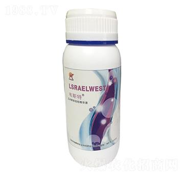 玉米酵素早熟鼓粒精華液-韋斯特-愷樂農(nóng)業(yè)