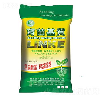 ������|(zh��)-�����ؿ�