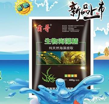 ���ﺣ�徫-����