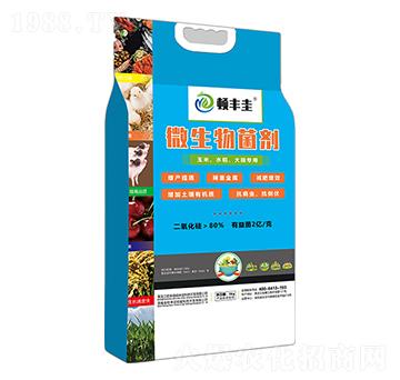 玉米、水稻、大田專用微生物菌劑-頓豐圭