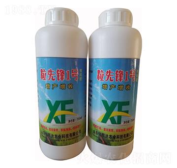 粒先鋒1號-億輝達