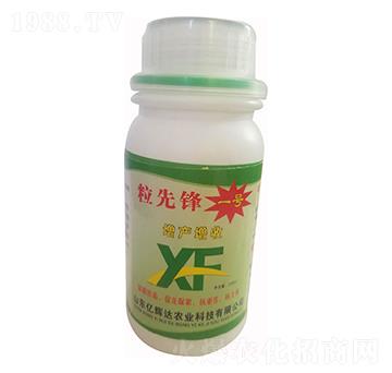 粒先鋒1號(hào)增產(chǎn)增收-億輝達(dá)