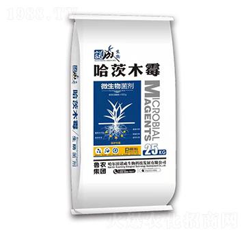 ����ľù-���r���F