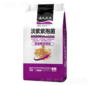 �������߾�-�Z�ɑ�(zh��n)��-���r(n��ng)���F(tu��n)