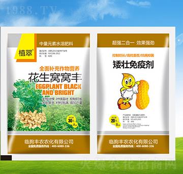 �����C�C�S+�������߄�