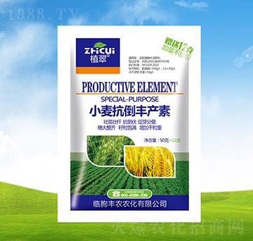 С�������S�a(ch��n)��-ֲ��-