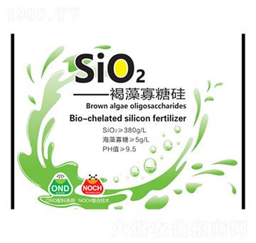 褐藻寡糖硅-浩倫興魯