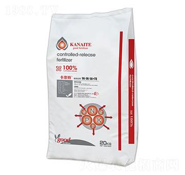 �����ؾ���(zh��n)��ጷ�14-14-14+TE-�Ƃ��d��